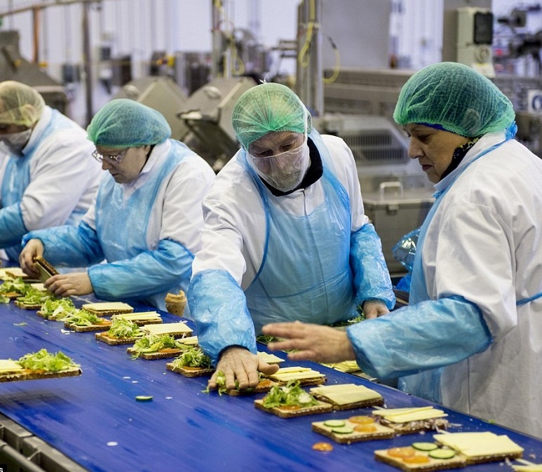 Ben trong nha may banh sandwich lon nhat nuoc Anh hinh anh