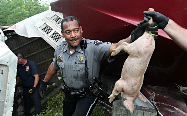 Canh sat My bat lon sau khi xe tai lat hinh anh