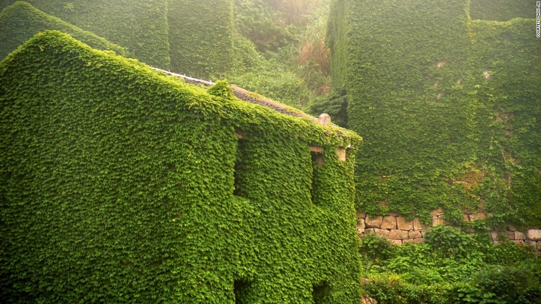 Sắc xanh của ngôi làng khiến quần đảo giống như một cảnh trong phim Hollywood. 