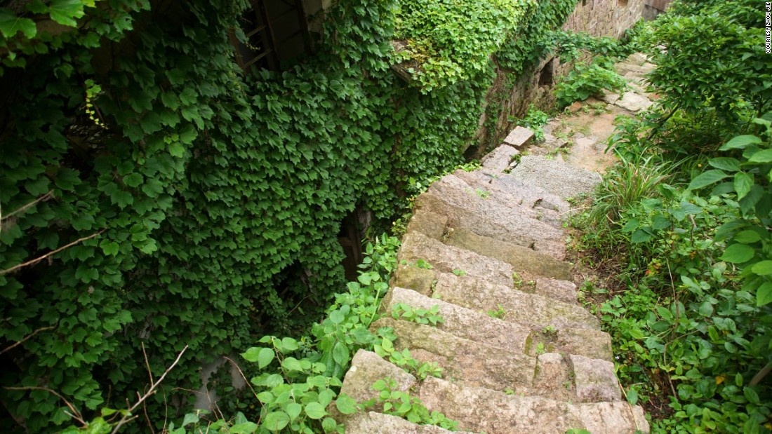 Dương xỉ, cỏ dại và cây leo phủ lên những bậc thang trong ngôi làng, nơi từng là chốn sinh hoạt nhộn nhịp của các gia đình làng chài. 