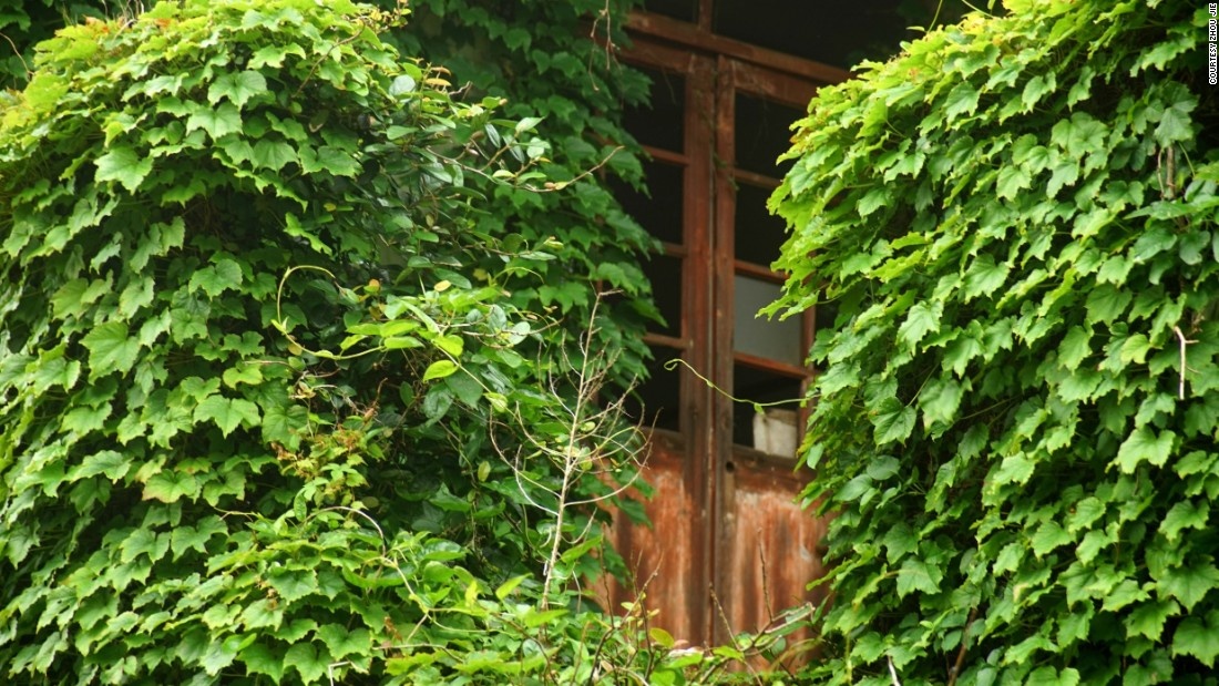 Những căn nhà cổ xưa bị bỏ hoang, vì ngư dân chuyển tới đại lục để kiếm cơ hội việc làm. 