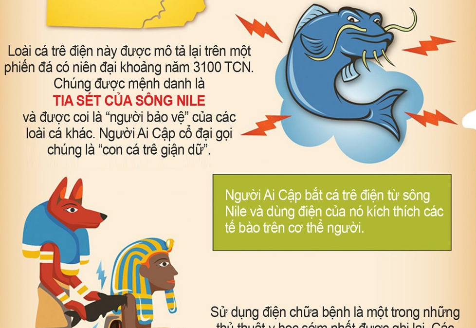 Nguoi co dai su dung dien nhu the nao? hinh anh