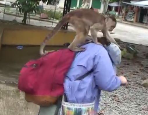 Khi lay cap do dac, tran lot du khach hinh anh