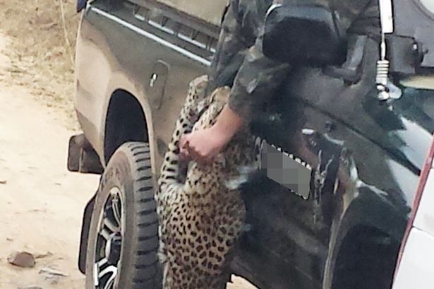 Canh tuong bao tan cong nguoi o Nam Phi hinh anh