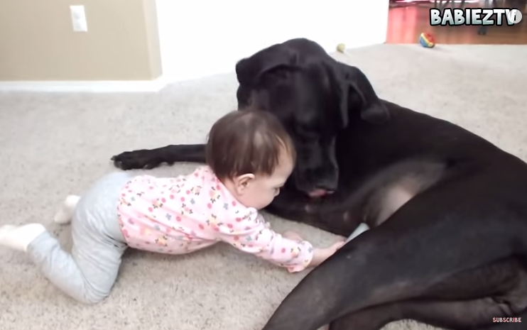 Khi cho trong nom tre con hinh anh