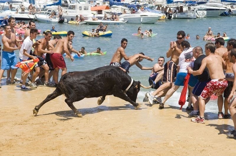 Bo duoi nguoi ra bien o chau Au hinh anh