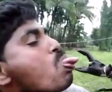 Hau qua cua viec hon cua hinh anh