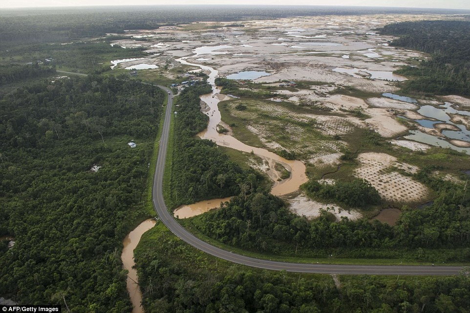 Bảo vệ rừng là một trong những biện pháp bền vững nhất để chống biến đổi khí hậu. Các tổ chức bảo vệ môi trường kêu gọi chính phủ Peru giao lại rừng cho các bộ lạc thổ dân vì họ sẽ chăm sóc và bảo vệ chúng tốt hơn.