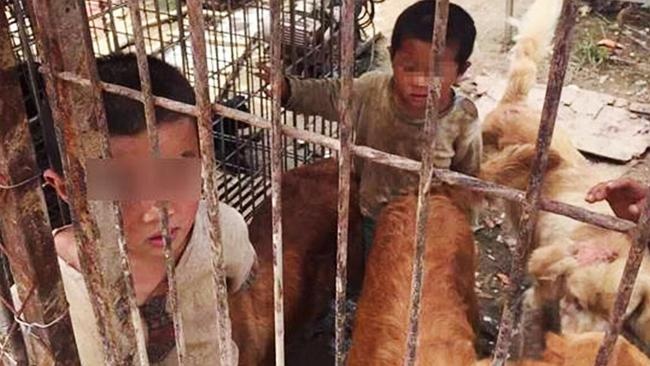 Cha me ly di, hai tre Trung Quoc song trong long cho hinh anh