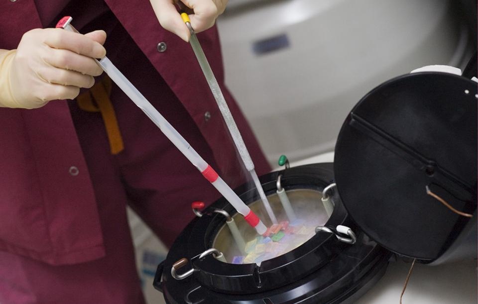 Phoi thai thua tro thanh bai toan kho cua My (ky 1) hinh anh