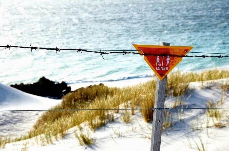 Cơ thể chim cánh cụt tích khá nhiều mỡ dưới da. Ngư dân biết rằng mỡ chim cánh cụt cháy rất tốt và là nguyên liệu hoàn hảo để thay thế gỗ. Chúng không thể bay và cũng khá hiền lành trong môi trường tự nhiên. Vì thế mà con người có thể bắt chúng dễ dàng. 