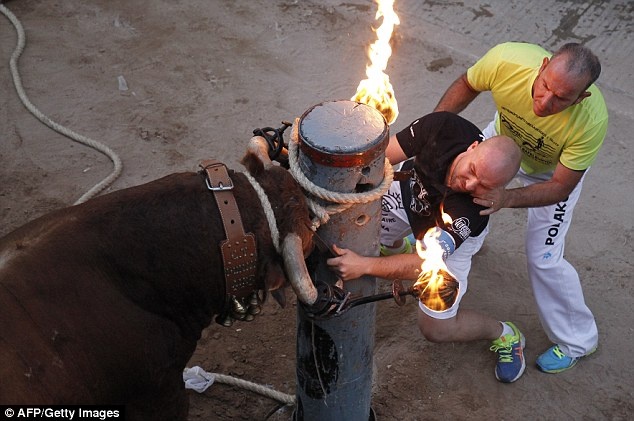 Bo tot sung lua duoi nguoi trong le hoi o Tay Ban Nha hinh anh