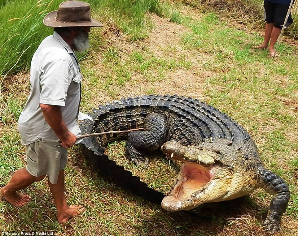 Dua gion voi ca sau khong lo hinh anh