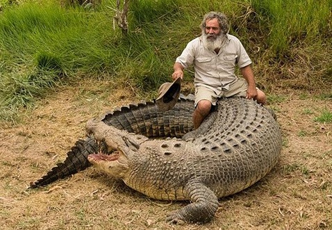 Nguoi dan ong dieu khien duoc sat thu dam lay hinh anh