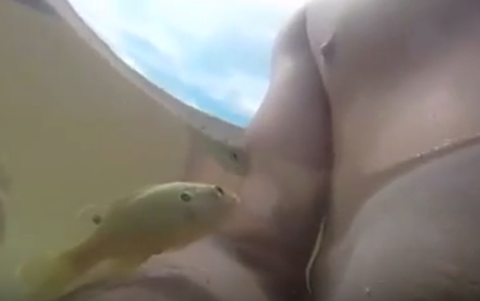 Ca dop dau nguc nguoi dan ong duoi ho hinh anh