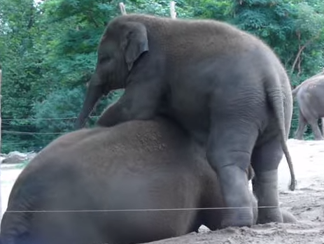 Voi me khong chiu de con cuoi hinh anh