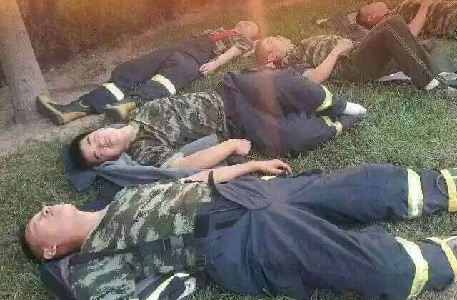 Linh cuu hoa kiet suc sau khi dap lua o Thien Tan hinh anh