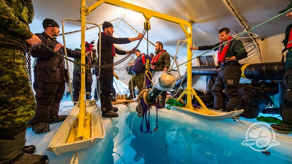 Gap nan o Bac Cuc, doan tham hiem an thit nguoi de ton tai hinh anh