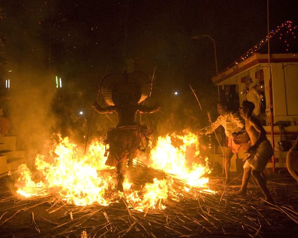 Le hoi nhay mua tren lua o An Do hinh anh