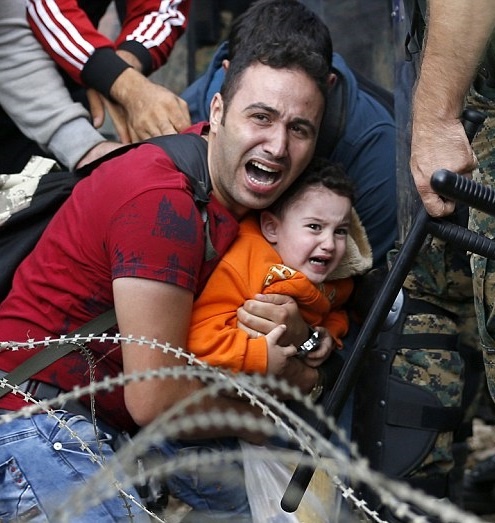 Hang nghin nguoi ti nan pha hang rao bien gioi o chau Au hinh anh