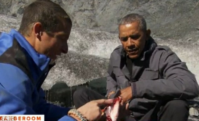 Obama an ca thua cua gau trong thu thach sinh ton hinh anh