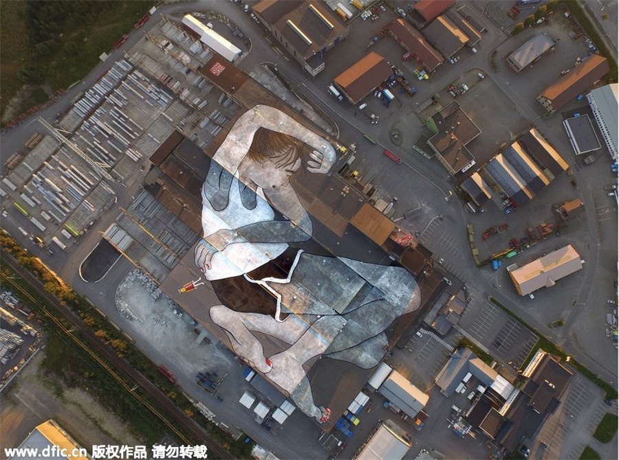 Tranh tuong lon nhat the gioi tren mai nha hinh anh