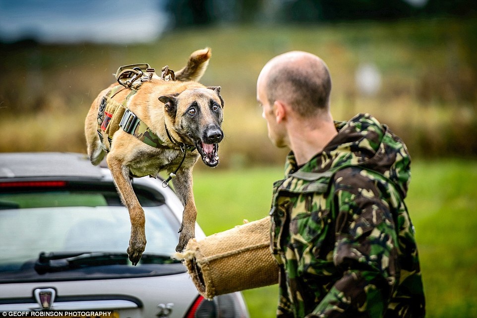 Khoanh khac khac la ve luc luong khong quan Anh hinh anh