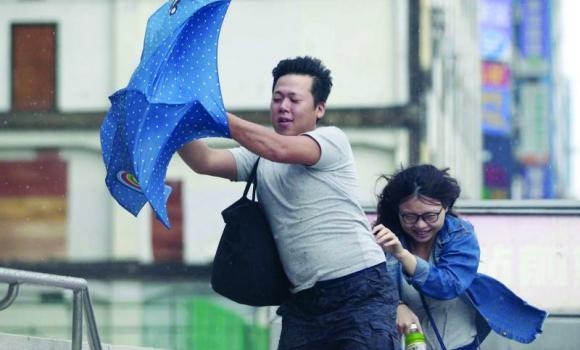 Gio lon khi bao ap vao dao Dai Loan hinh anh