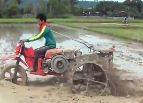 Quai xe phong xe ba banh tren ruong hinh anh