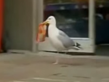 Manh khoe cua nhung ke trom biet bay hinh anh