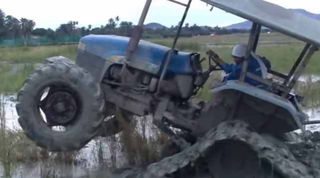 May cay 'boc dau' tren ruong hinh anh