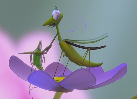 Qua tinh yeu cua bo ngua hinh anh