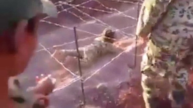 Chien binh nhi cua IS bo duoi day thep gai hinh anh