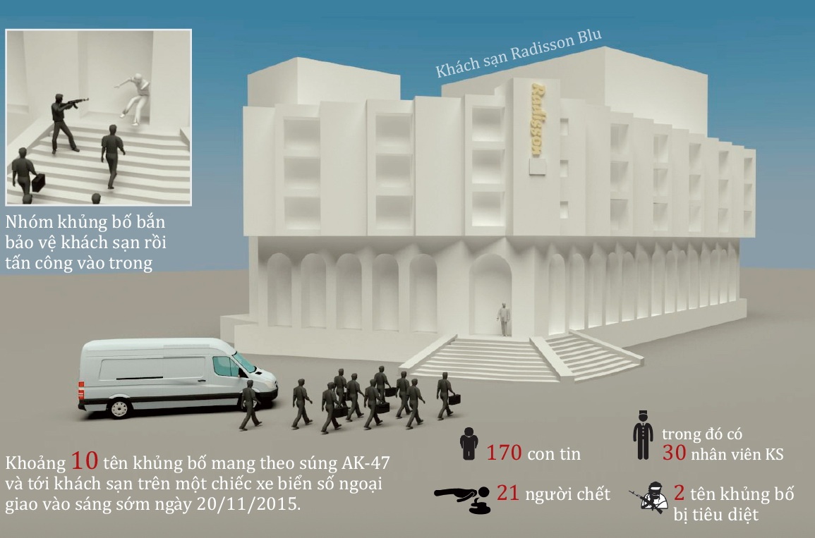 Vu bat 170 con tin o Mali dien ra the nao? hinh anh