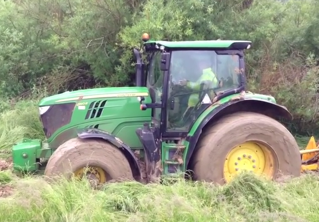 Giai cuu may cay hinh anh