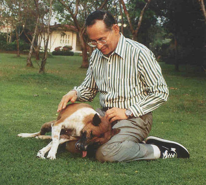 Nhà vua Bhumibol Adulyadej cứu sống con chó cưng năm 2008. Ảnh: Reuters