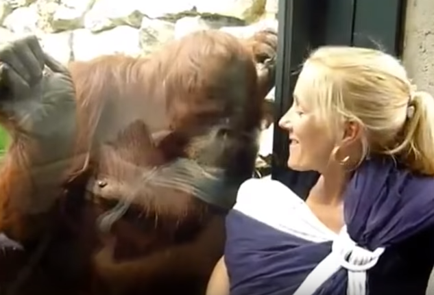 Duoi uoi co xem mat tre con hinh anh