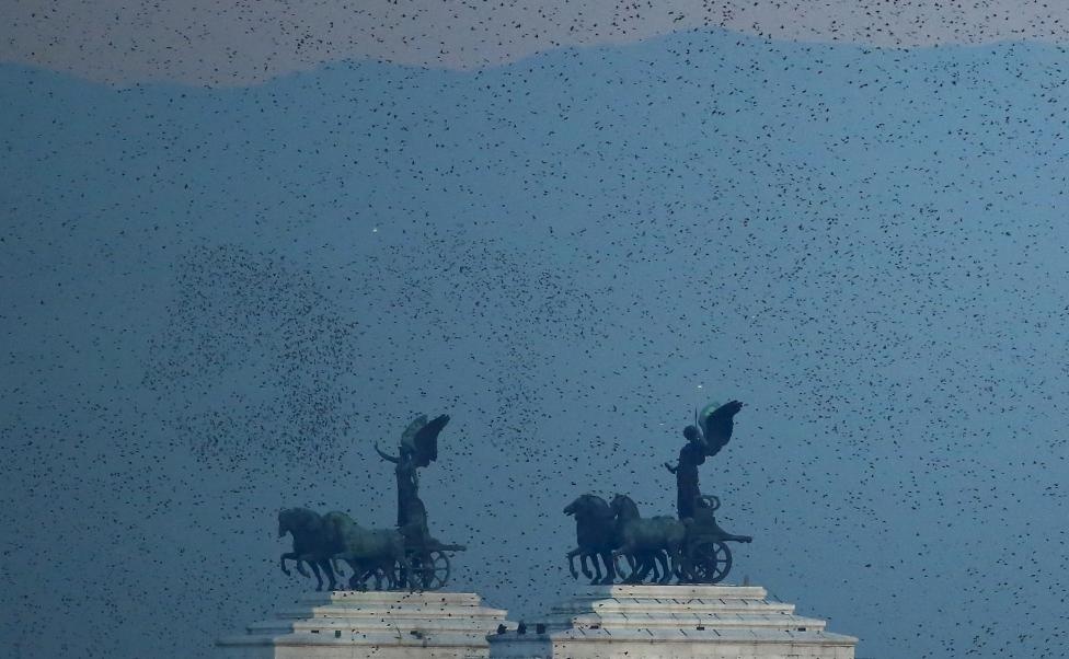 Đàn sáo đen khổng lồ xuất hiện trên bầu trời thành phố Rome hôm 15/12.