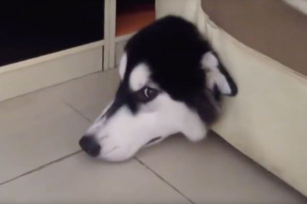 Cho mac ket khi duoi chuot hinh anh