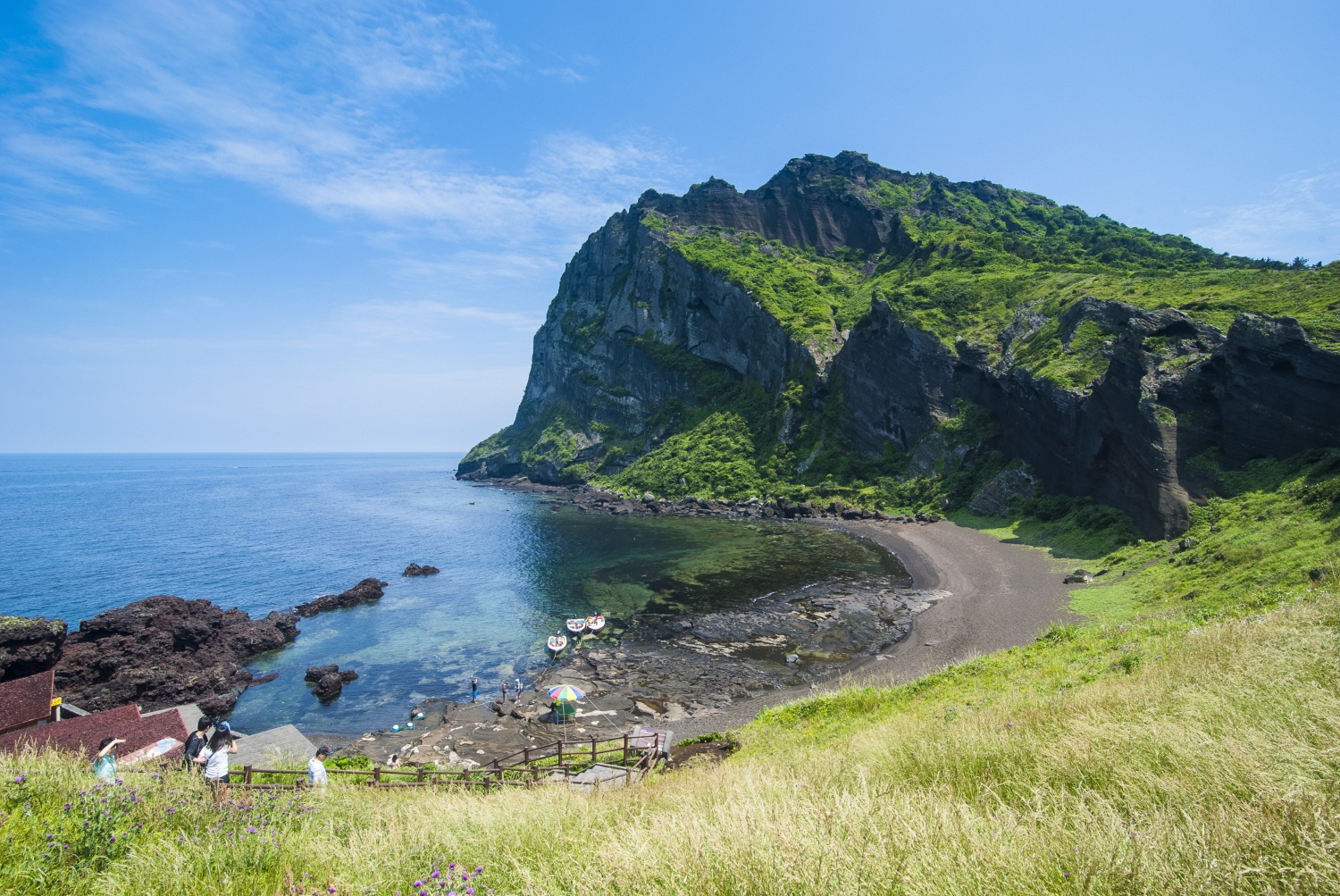 Han Quoc dieu tra duong day moi gioi toi Jeju lam viec hinh anh