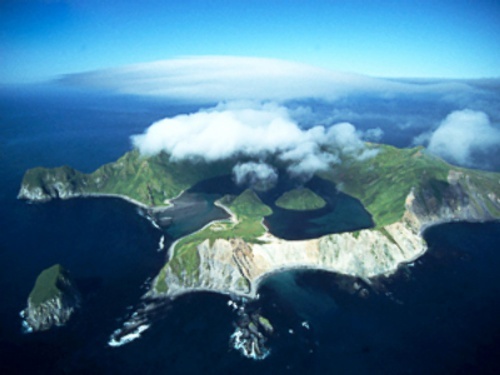 Nga moi Nhat hop tac tren dao tranh chap hinh anh