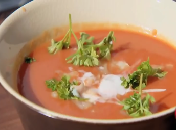 Nguoi mu xoi phan chim hinh anh