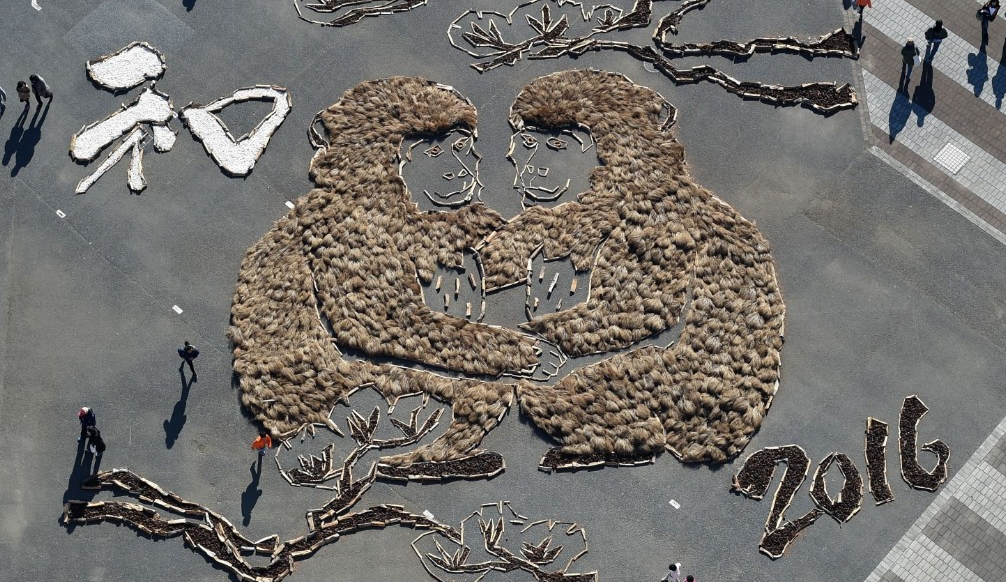 Chau A day sac mau don Tet con khi hinh anh