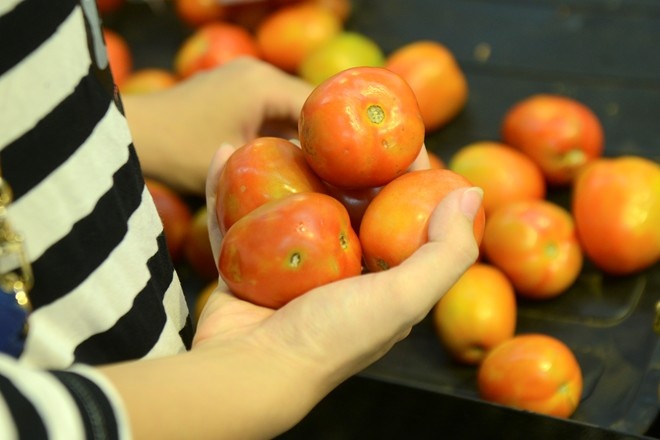 70.000 dong/kg ca chua sau Tet hinh anh