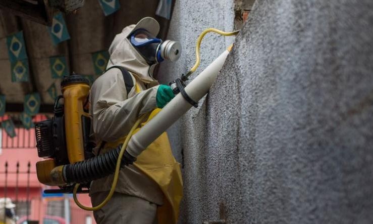 Hawaii ban bo tinh trang khan cap vi dich benh do muoi hinh anh