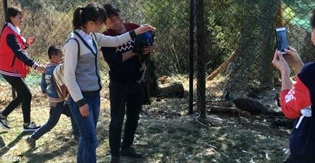 Cac truong hop dong vat chet tai vuon thu hinh anh