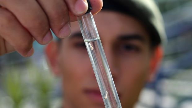 Phap phat hien ca dau tien nhiem Zika qua duong tinh duc hinh anh