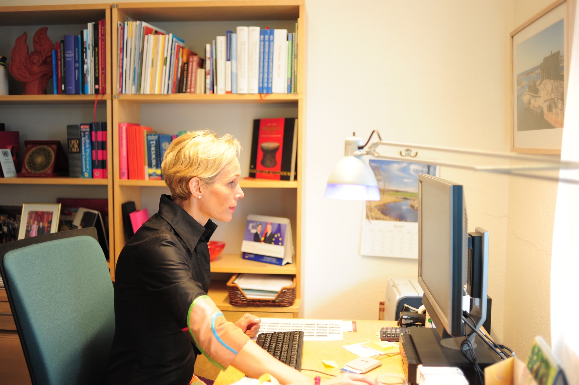 dai su thuy dien noi ve binh dang gioi anh 2