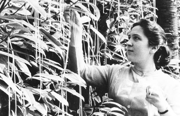 Ngày cá tháng tư ảnh 2 Ngay ca thang tu anh 2