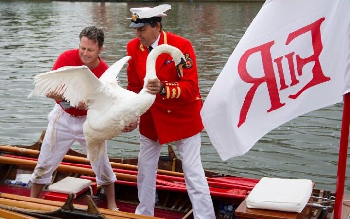 tai san cua nu hoang Anh anh 16